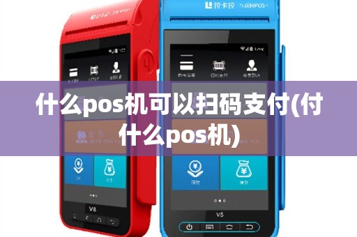 什么pos机可以扫码支付(付什么pos机)
