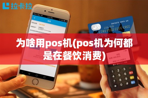 为啥用pos机(pos机为何都是在餐饮消费)