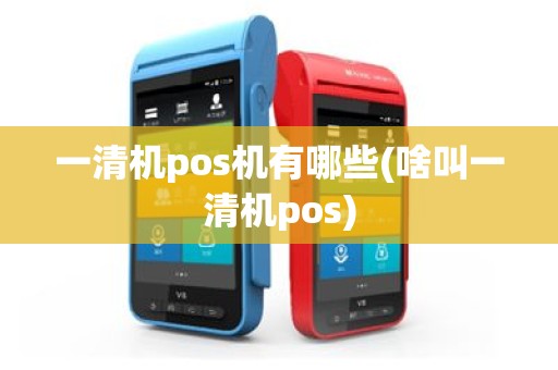 一清机pos机有哪些(啥叫一清机pos)