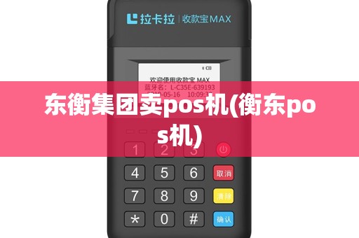 东衡集团卖pos机(衡东pos机)