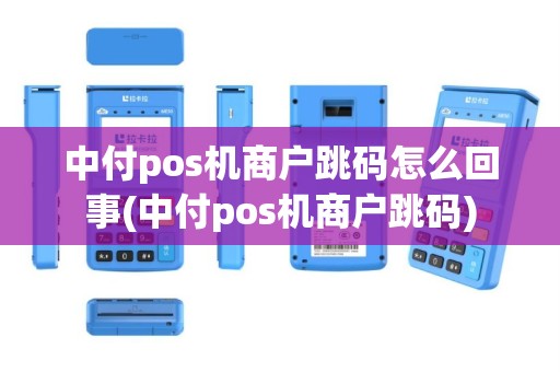 中付pos机商户跳码怎么回事(中付pos机商户跳码)