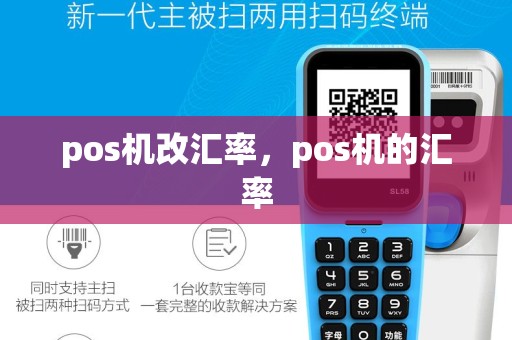 pos机改汇率，pos机的汇率
