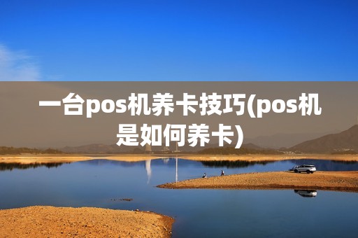 一台pos机养卡技巧(pos机是如何养卡)