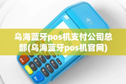 乌海蓝牙pos机支付公司总部(乌海蓝牙pos机官网)
