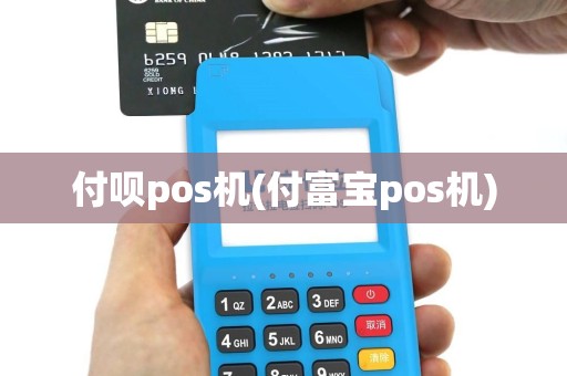 付呗pos机(付富宝pos机)