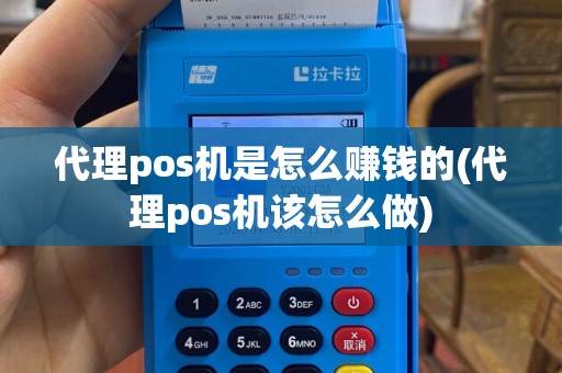 代理pos机是怎么赚钱的(代理pos机该怎么做)