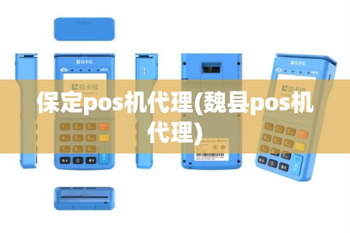保定pos机代理(魏县pos机代理)