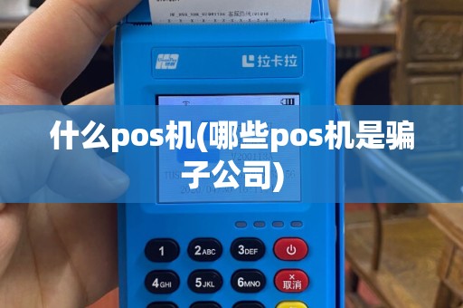 什么pos机(哪些pos机是骗子公司)