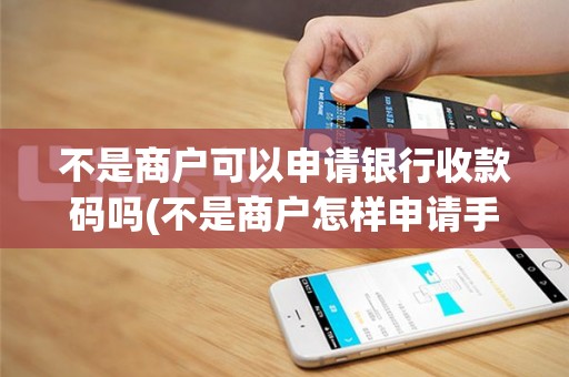 不是商户可以申请银行收款码吗(不是商户怎样申请手机pos机)