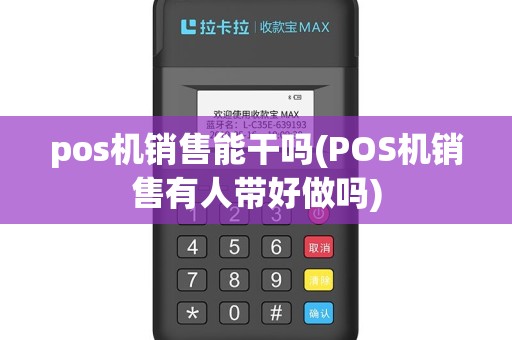 pos机销售能干吗(POS机销售有人带好做吗)