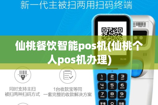 仙桃餐饮智能pos机(仙桃个人pos机办理)