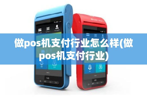 做pos机支付行业怎么样(做pos机支付行业)
