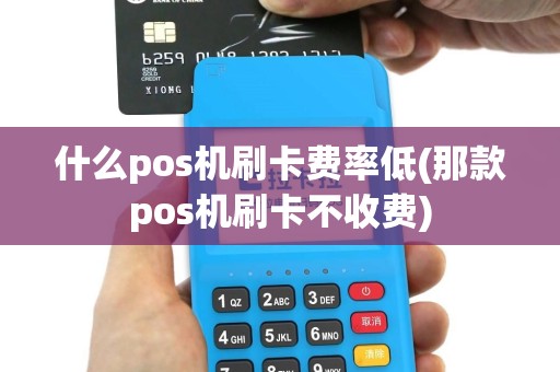 什么pos机刷卡费率低(那款pos机刷卡不收费)