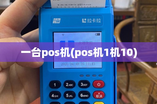 一台pos机(pos机1机10)