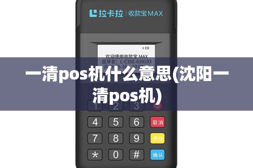 一清pos机什么意思(沈阳一清pos机)