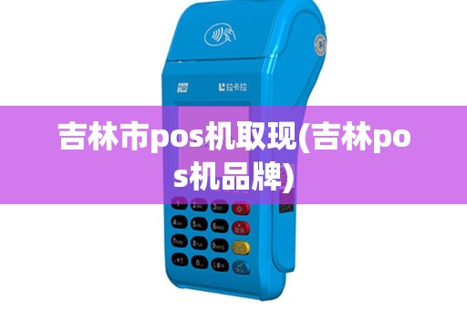 吉林市pos机取现(吉林pos机品牌)