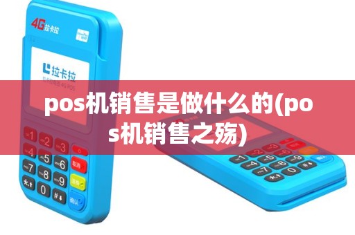 pos机销售是做什么的(pos机销售之殇)