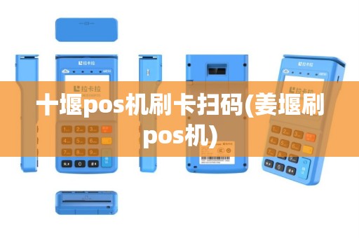 十堰pos机刷卡扫码(姜堰刷pos机)