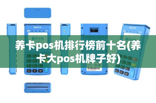 养卡pos机排行榜前十名(养卡大pos机牌子好)