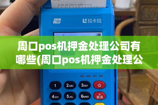 周口pos机押金处理公司有哪些(周口pos机押金处理公司)