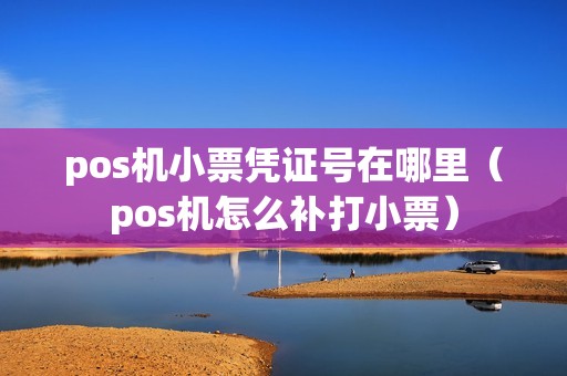 pos机小票凭证号在哪里（pos机怎么补打小票）