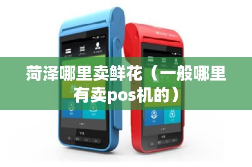 菏泽哪里卖鲜花（一般哪里有卖pos机的）