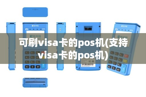 可刷visa卡的pos机(支持visa卡的pos机)