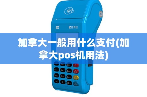 加拿大一般用什么支付(加拿大pos机用法)