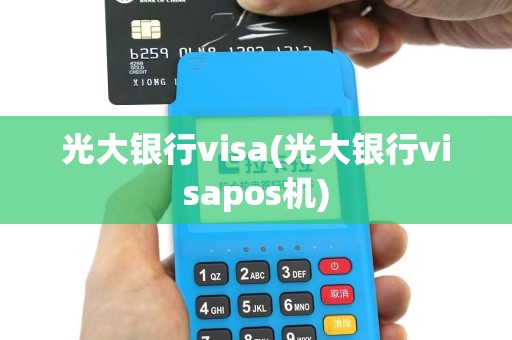 光大银行visa(光大银行visapos机)
